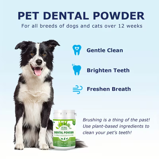 Pet Dental Powder for Dogs and Cats, Yolk Flavor Oral Care, 40g