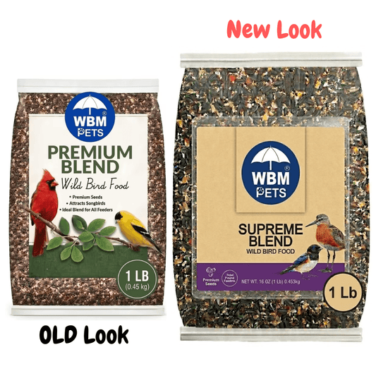 Wild Bird Seed Mix, 1 lb Bag for Outdoor Songbird Feeding in Backyards & Gardens