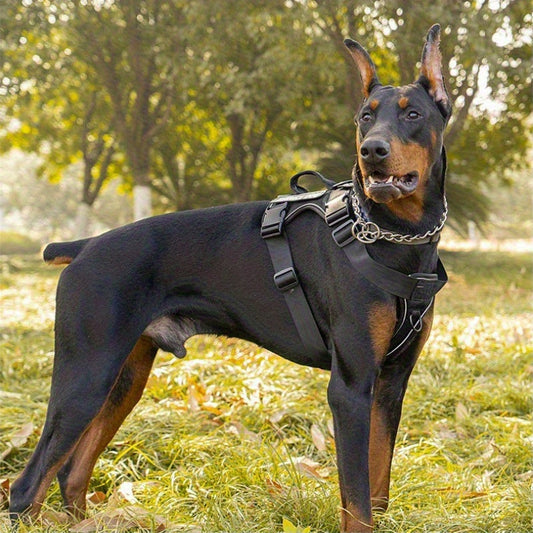 Reflective Dog Harness with Front and Back Clips, Adjustable Mesh Vest and 3 Patches