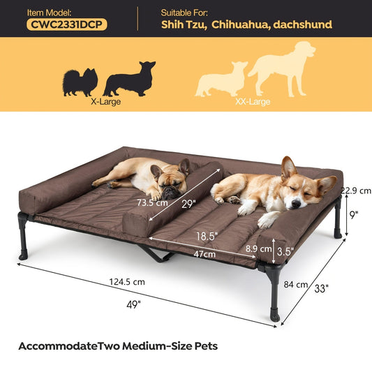Elevated Double Dog Bed with Teslin Mesh and Removable Brown Bolster, XL–XXL