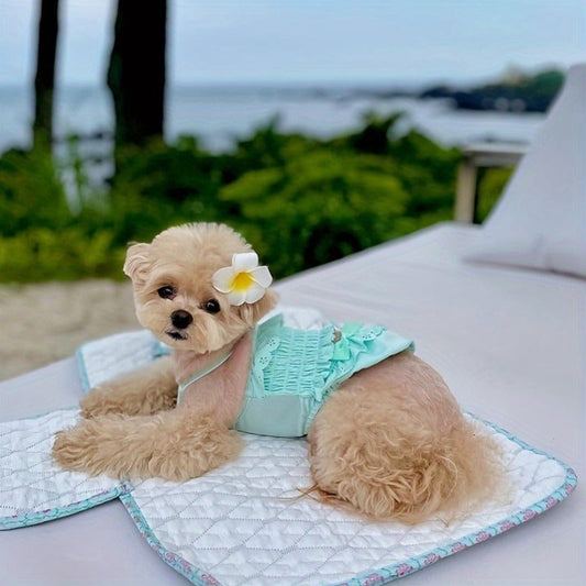 Dog Swimsuit with Matching Cap, Sky Blue Pet Beach Outfit, Sizes XS–XL