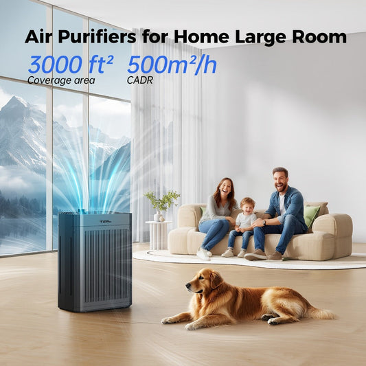 H13 HEPA Air Purifier with Double-Sided Intake, Washable Pre-Filter and PM2.5 Sensor
