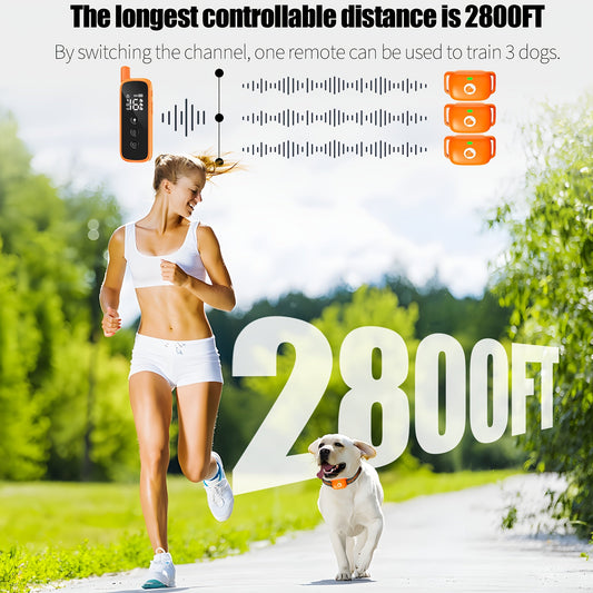 Dog Training Collar with Remote, Rechargeable, 2,600-ft Listed Range, 1–3 Dog Sets