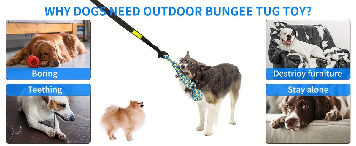 Bungee Dog Tug Toy Outdoor Hanging from Tree Height Adjustable 19.7 Ft Elastic Cord Tether with Chew Rope - Solo & Interactive Exercise Play for All Dog Breeds Small to Large