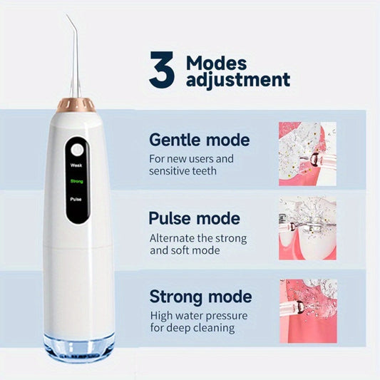 Electric Oral Care Options: Toothbrush Combination or Water Flosser Set