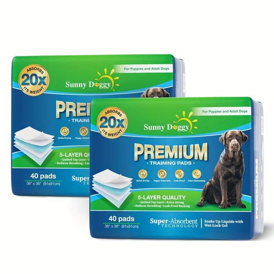 Disposable Dog Pee Pads for Puppy Training, 22 × 22 to 36 × 36 Inch Pack Options