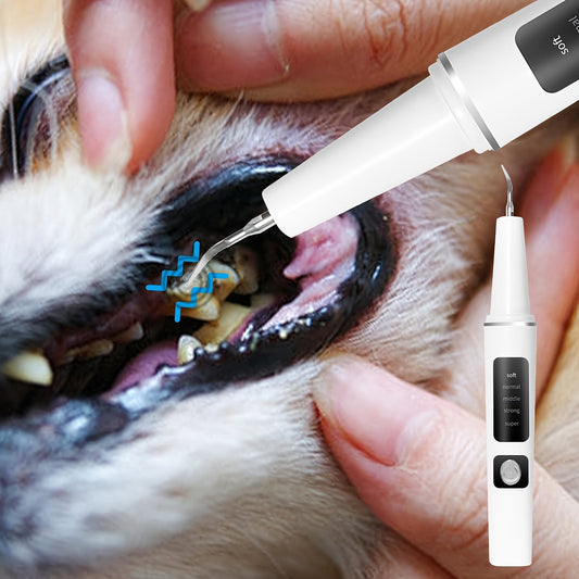 Electric Pet Dental Cleaning Kit, USB Rechargeable with 4 Heads & 5 Modes