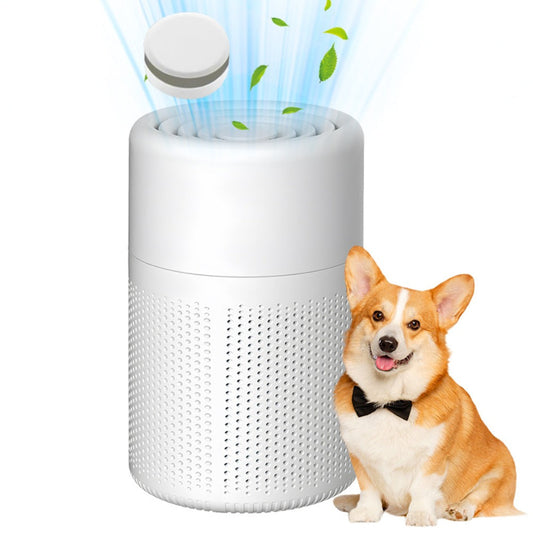 USB Negative Ion Air Purifier with Blue Light and Aromatherapy Box, Type-C Powered