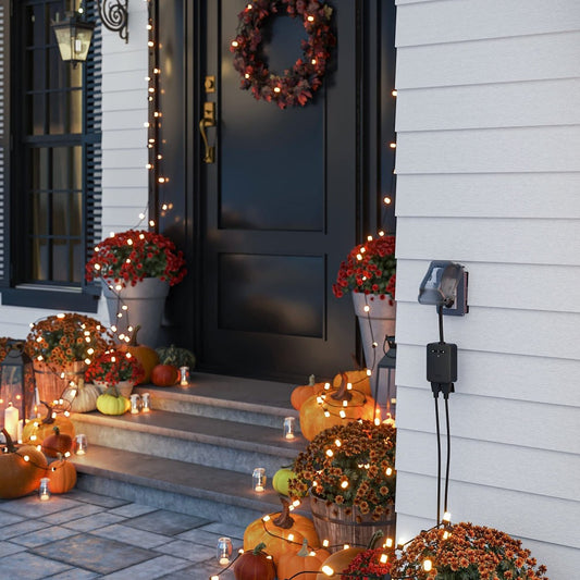 Outdoor Smart Plug, Wyze Dual Independent Outlets with Energy Monitoring and Light Sensor