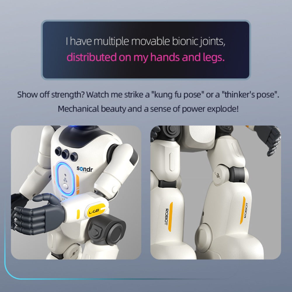 Humanoid Robot Toy, Gesture Sensor, Voice Recorder & Pose Control