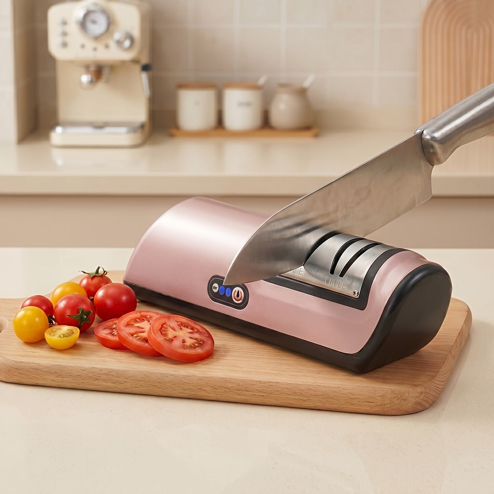 Electric Knife Sharpener 2-Stage – Automatic Professional Kitchen Knife Sharpener with Built-In Guides & Sanding Wheel for All Knives, Santoku, Fillet, Chef & Hunting Blades