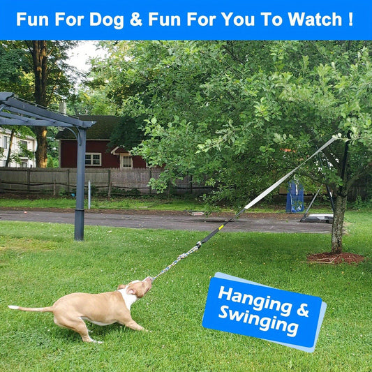 Bungee Dog Tug Toy with Adjustable Hanging Cord and Rope, Up to 19.7 ft, Black