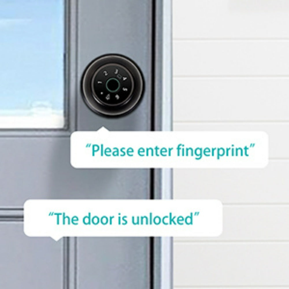 Biometric Handle Lock 5-in-1 Keyless Entry with Fingerprint, App, IC Card, Password & Backup Key – Silent Mode, Anti-Peep Keypad, Electronic Smart Door Handle for Bedroom Apartment Interior Door