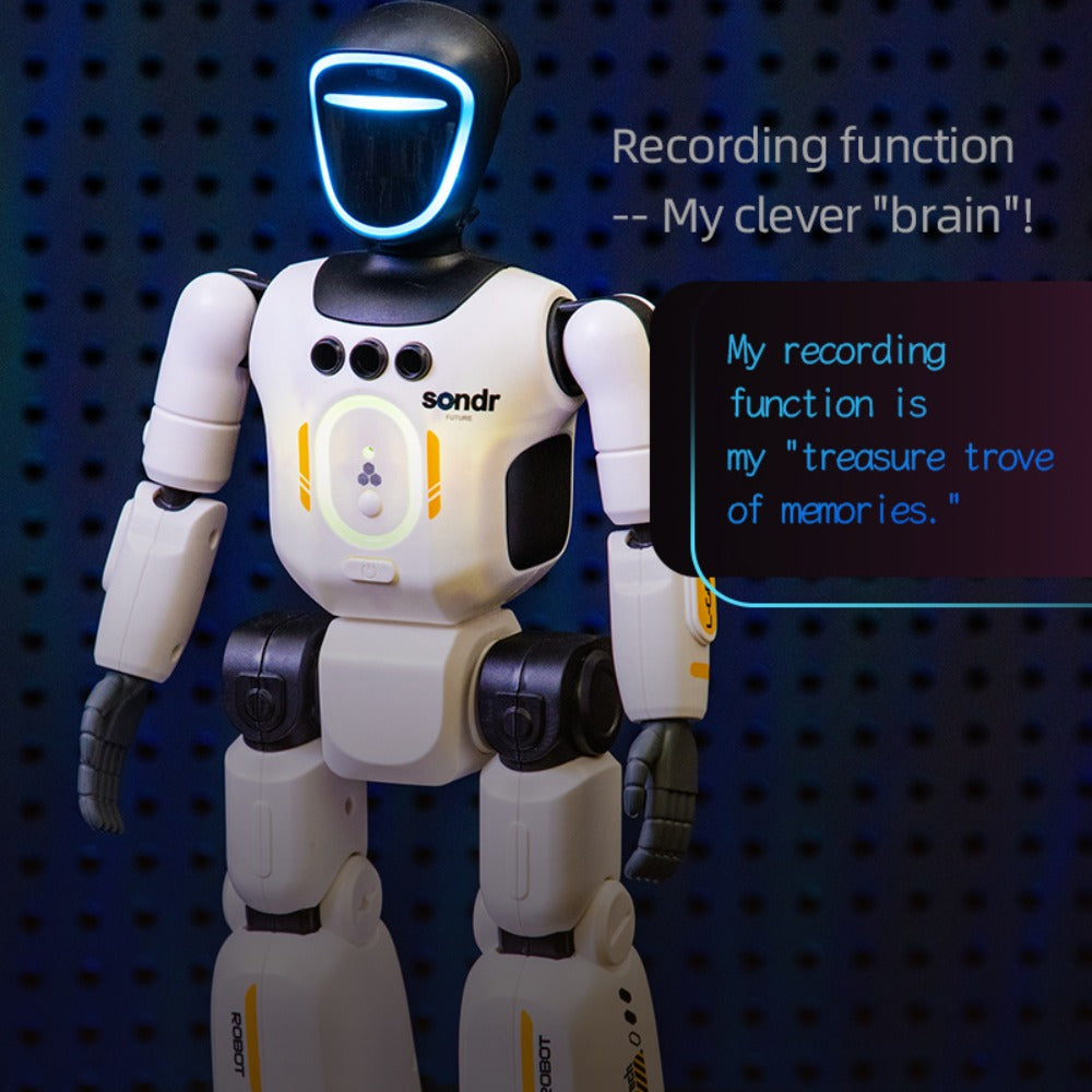 Humanoid Robot Toy, Gesture Sensor, Voice Recorder & Pose Control