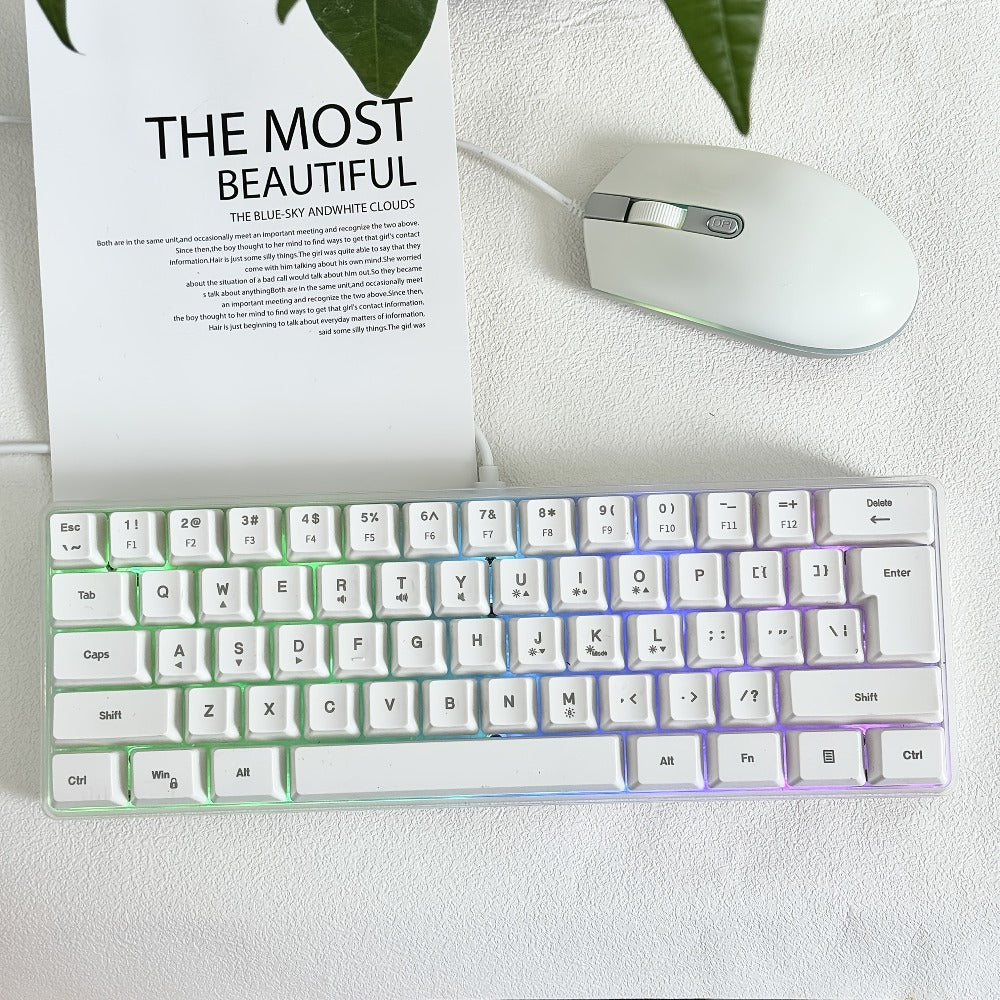 RGB Gaming Keyboard 68 Key Wired Mechanical Feel with RGB Backlight Film Switch Keycap Detachable Cable Compact TKL Layout for Gaming Office PC – 61/68 Key Multi-Color Options (K701)