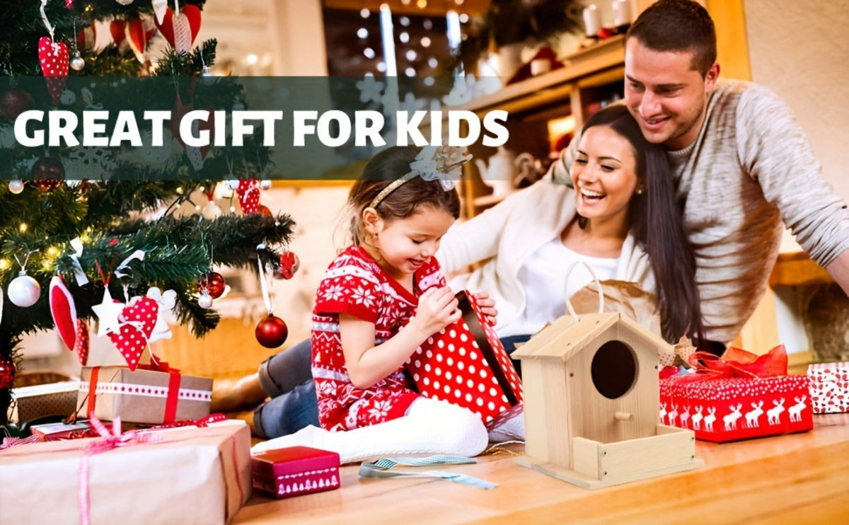 Wooden Birdhouse Building Kit for DIY Build-and-Paint Craft Projects