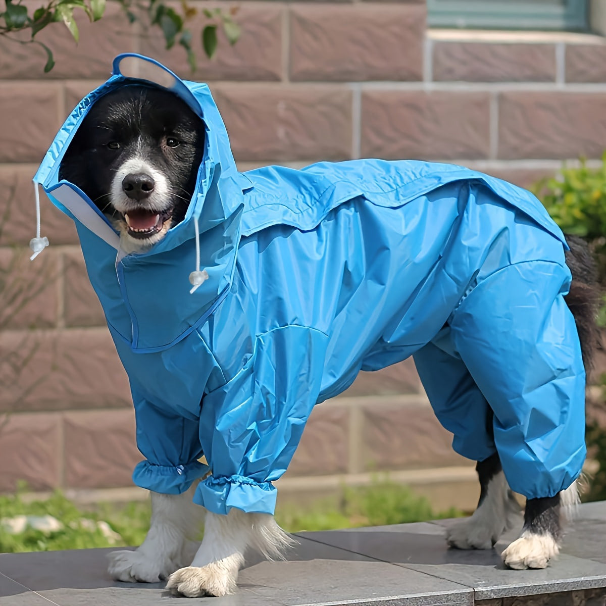 Blue Full-Body Dog Raincoat with Hood and Footies, Sizes S–7XL