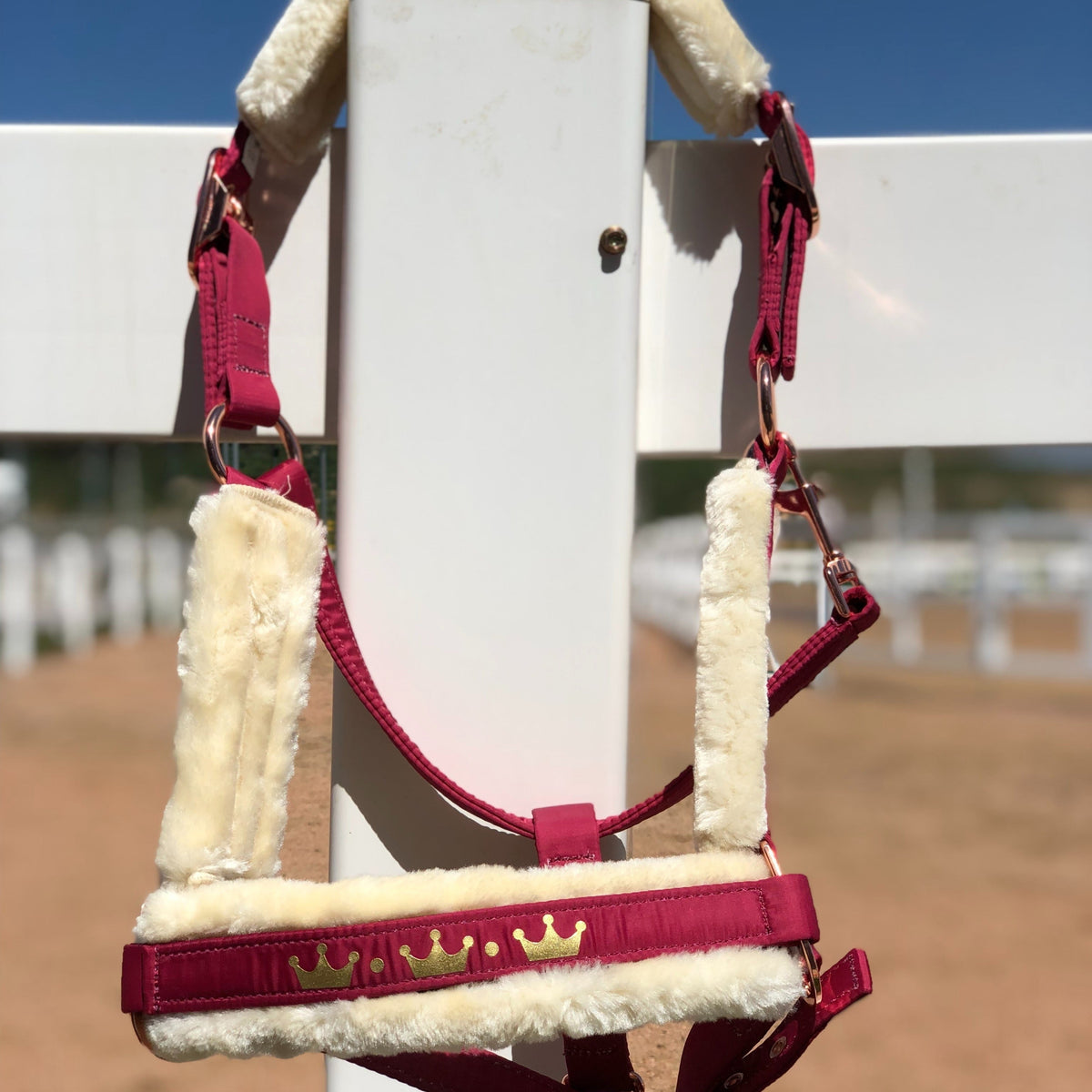 Horse Halter with Detachable Faux Fur Band & Glossy Buckle – Adjustable Head Collar for Horses, Available in 15 Colors & 3 Sizes FULL COB PONY