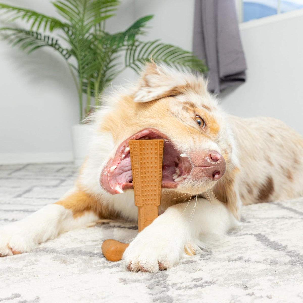 Dog Dental Chew Toy T-Shape with Textured Ridges & Ergonomic Grip – Non-Splintering Durable Chew Toy for Aggressive Chewers, Teething Puppies & Adult Dogs, Promotes Oral Health & Clean Teeth