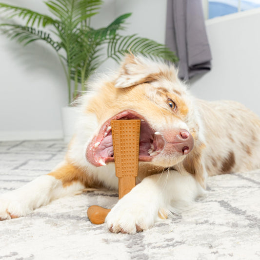 T-Shaped Dog Chew Toy with Textured Ridges and Easy-to-Hold Design
