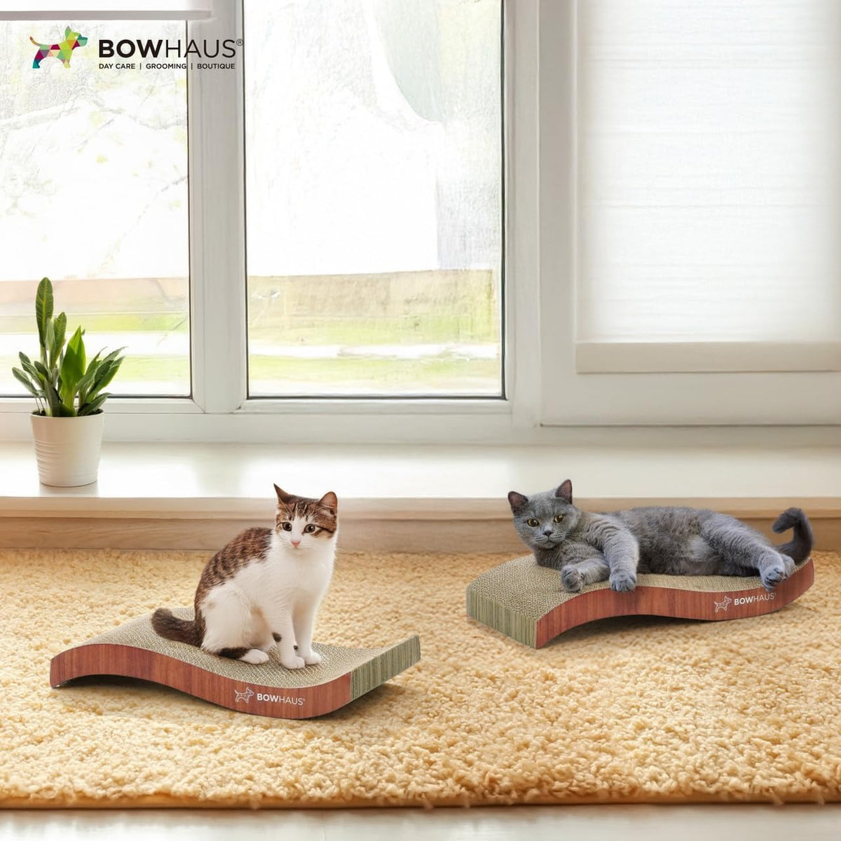 Cat Scratcher Lounger Reversible - Large Cardboard Cat Scratching Pad & Board for Indoor Cats, 5-Layer Durable Construction, Double-Sided Scratch Surface, Furniture Protector, Basic 8pcs & Curved 1pc