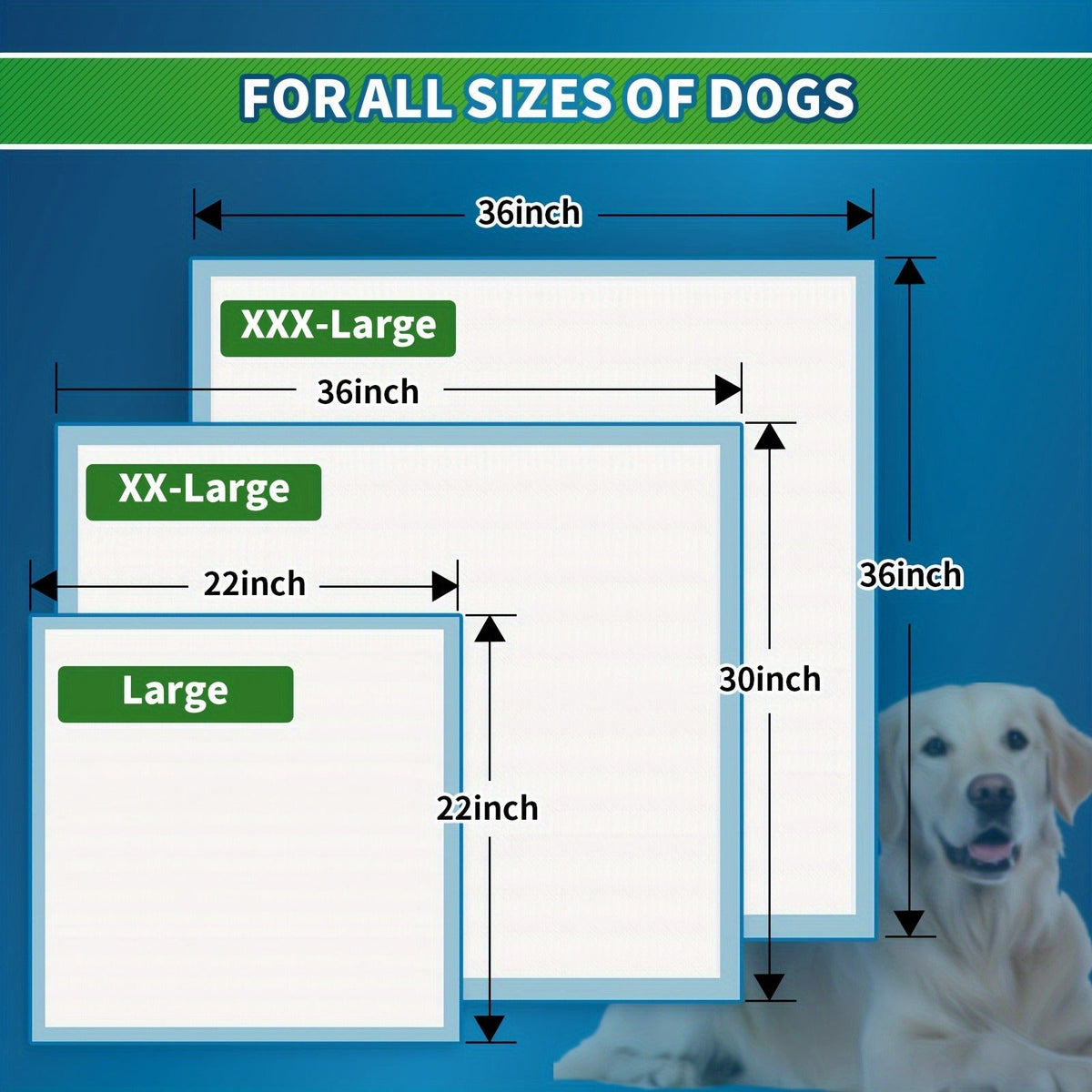 Dog Training Pads for Puppies Large - Disposable Pee Pads with Odor Control, Leak-Proof & Super Absorbent - Puppy Potty Pads for Housebreaking, 40/50/120 Count