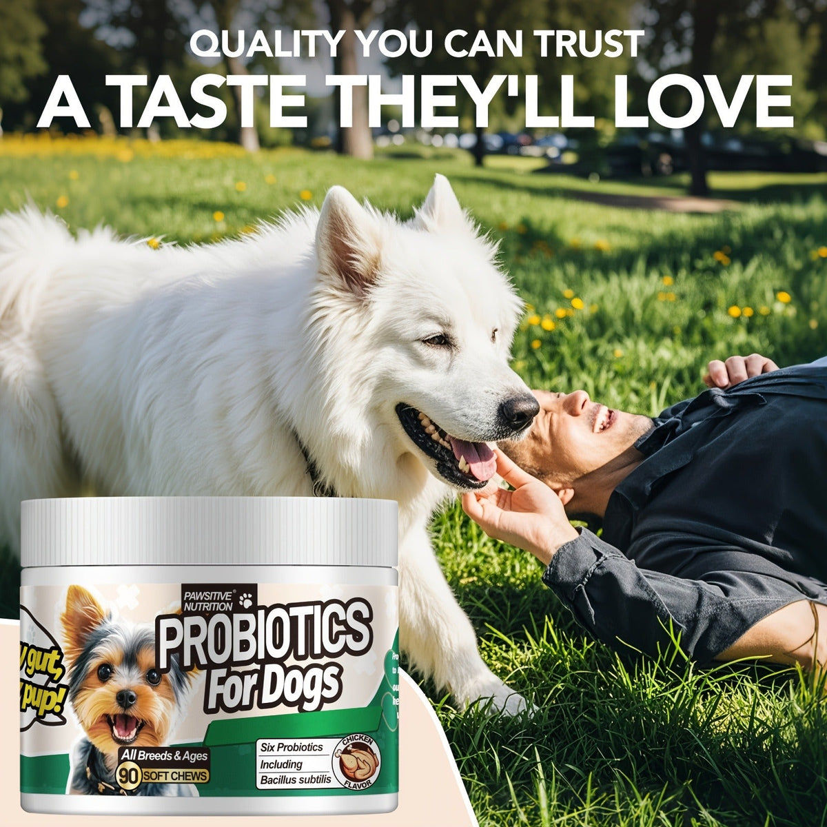 Dog Probiotic Supplement 6 Billion CFU with Prebiotic - 90 Chicken Flavor Chews for Itching Skin Relief, Digestive & Immune Health, All-in-One Canine Nutritional Supplement for All Breeds