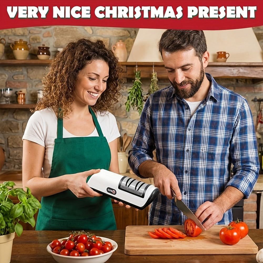 Electric Knife Sharpener 2-Stage – Automatic Professional Kitchen Knife Sharpener with Built-In Guides & Sanding Wheel for All Knives, Santoku, Fillet, Chef & Hunting Blades