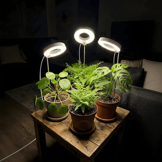 Full Spectrum LED Grow Lights, 3-Pack with 3/6/9H Timer and 4 Brightness Levels