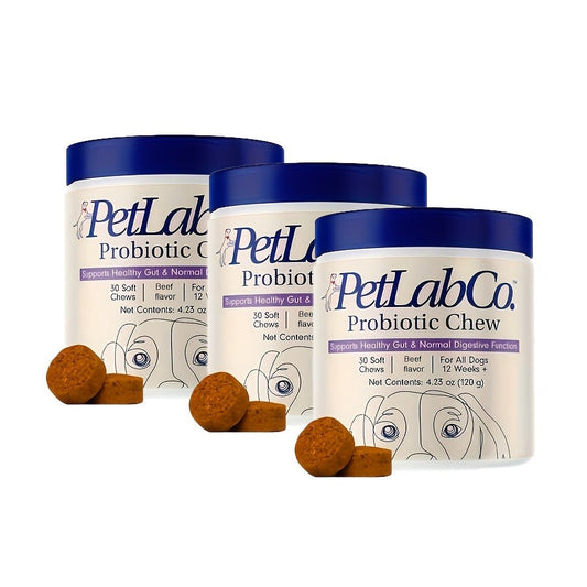 Dog Probiotic & Prebiotic Chewable Treats - Natural Ingredients, Gut Health Support, 1pc & 3pc Packs