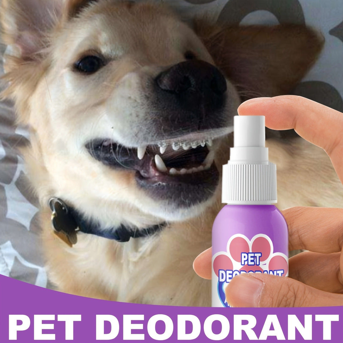 Pet Dental Spray for Dogs & Cats – Teeth Cleaning & Bad Breath Freshener, No-Brush Oral Care Spray for Plaque & Tartar Control, Safe Daily Use
