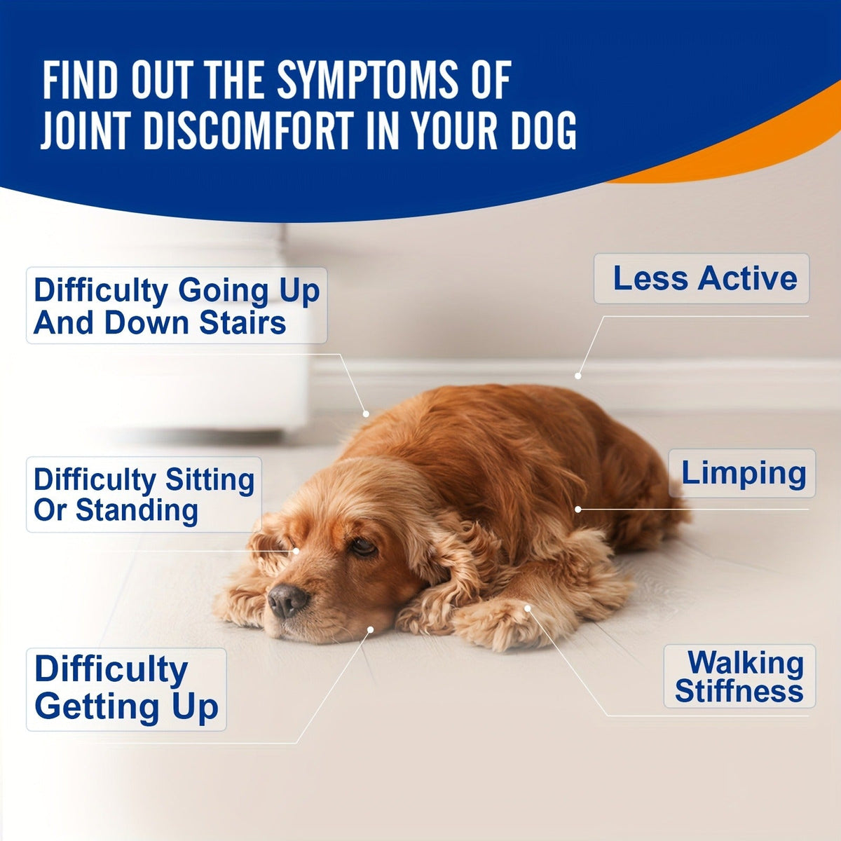 Dog Joint Supplement Chews, Chicken Flavor, 120 Count