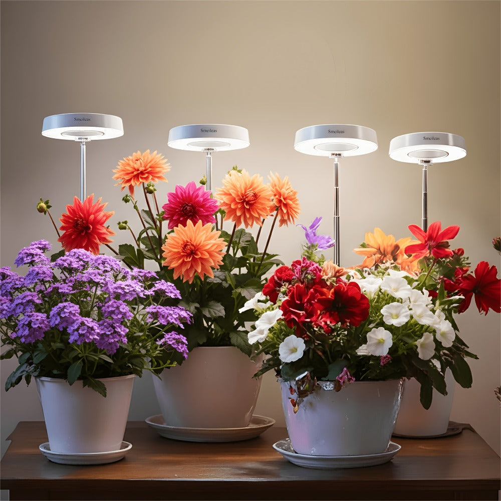 Full Spectrum LED Grow Lights for Indoor Plants – 3-Pack with Auto Timer 3/6/9H, 4 Dimmable Levels & Adjustable Height | Desk Lamp for Seedlings, Herbs, Succulents & Houseplants