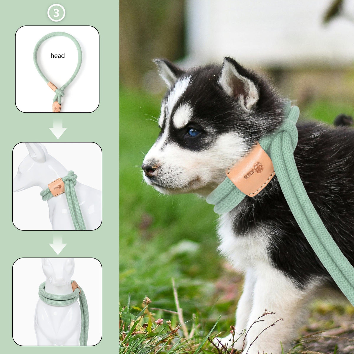 Dog Slip Leash and Harness 2-in-1 Rope Lead - No Pull All-in-One Training Leash for Puppies & Small Dogs, Adjustable Slip Lead with Soft Rope, Secure Control for Walking & Training