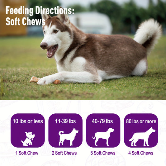 Dog Probiotic & Digestive Enzyme Chews with Prebiotics, 30 or 120 Count