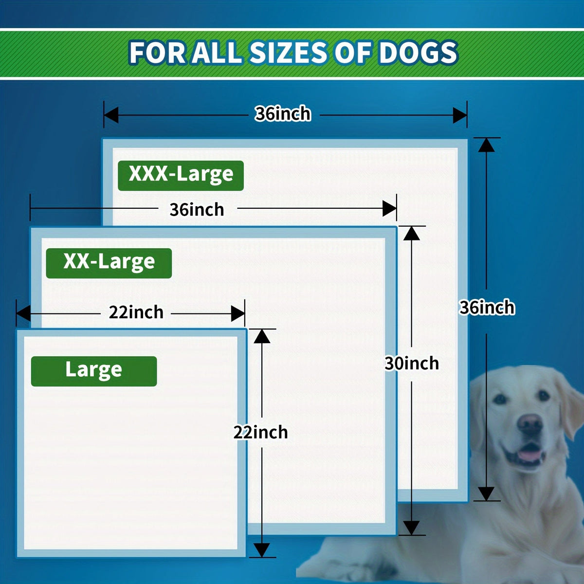 Puppy Pads Extra Large Bulk Pack - Disposable Dog Pee Pads with Upgraded Odor Control, Super Absorbent Leak-Proof Potty Training Pads for Dogs, Housebreaking Supplies, 480ct 22"x22" / 160ct 36"x36"