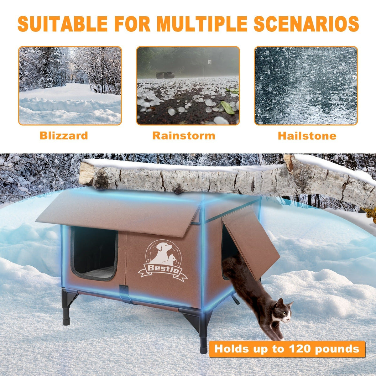 Heated Cat House 3-in-1 with Removable Warming Pad, Elevated Cat Bed for Indoor & Outdoor Cats, Chew-Resistant Cord, Double Door Cat Cave, All-Season Cat Shelter & Condo