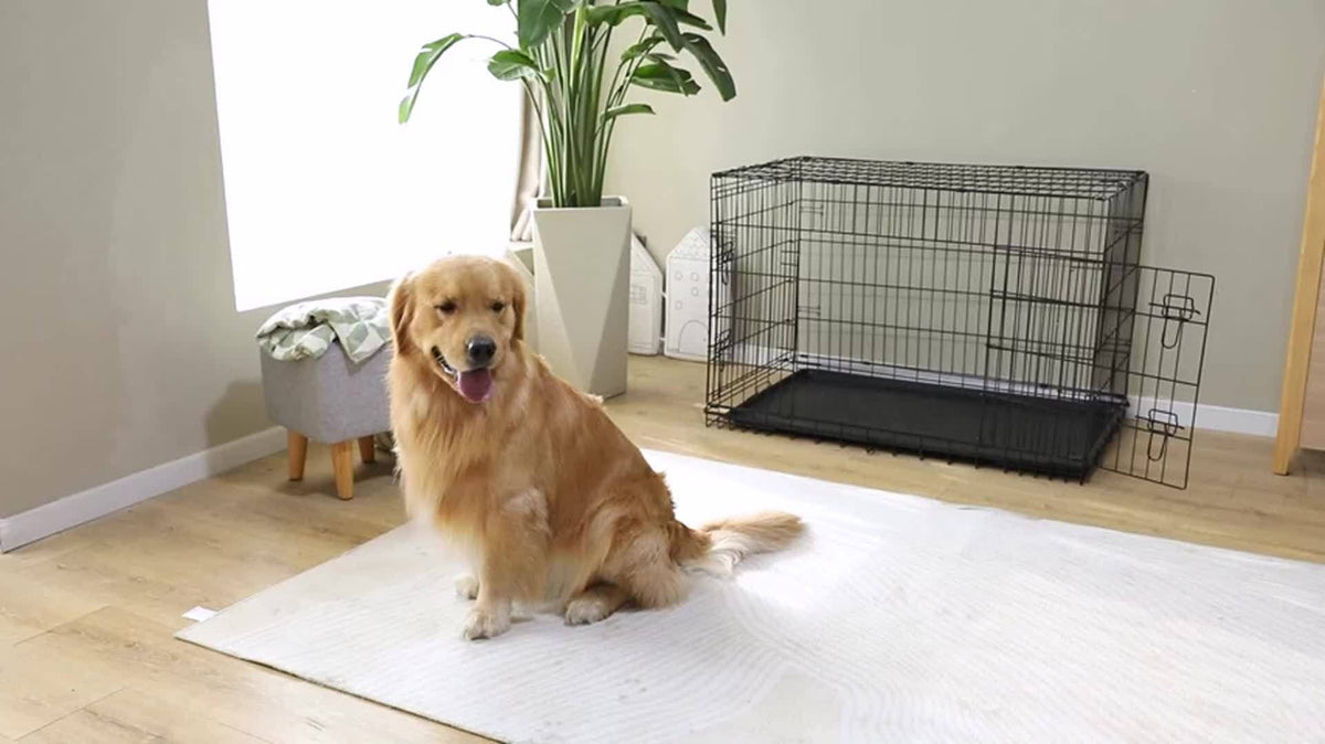 Dog Crate with Divider Panel & Double Door - Folding Metal Wire Dog Cage with Leak-Proof Tray, Indoor Outdoor Travel Pet Kennel for Small Medium Large Dogs, 5 Sizes