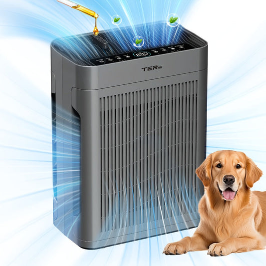 H13 HEPA Air Purifier with Double-Sided Intake, Washable Pre-Filter and PM2.5 Sensor