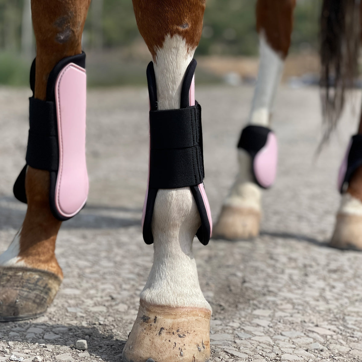 Horse Boots Set of 4 – Open Front Tendon & Fetlock Leg Protection Boots, PU Neoprene Splint Boots for Training, Racing, Riding & Jumping, Full, COB & Pony Sizes, 10 Colors