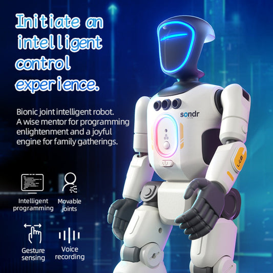 Humanoid Robot Toy, Gesture Sensor, Voice Recorder & Pose Control