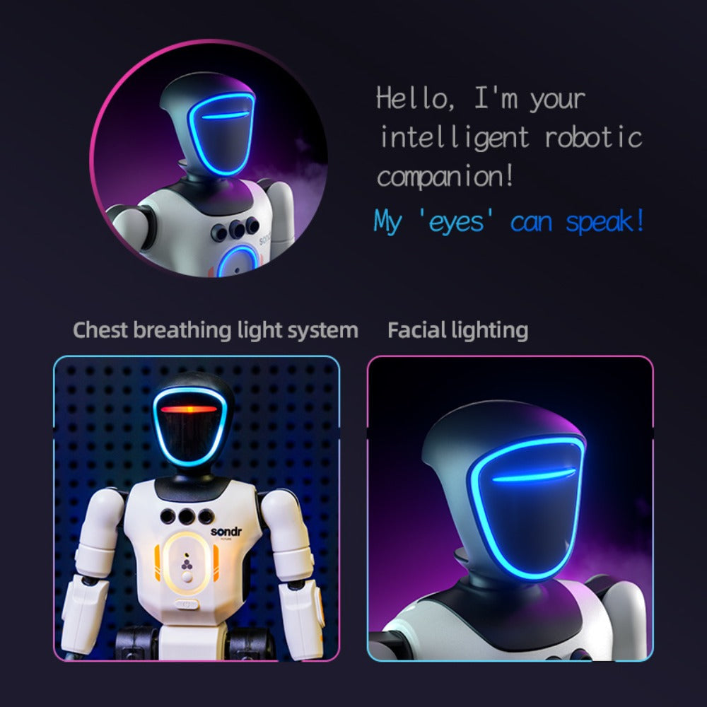 Humanoid Robot Toy, Gesture Sensor, Voice Recorder & Pose Control