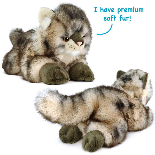 Maine Coon Cat Stuffed Animal, Ricky, 16-Inch Realistic Soft Plush