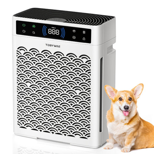 HEPA Air Purifier with Double-Sided Intake, Auto Mode and 19-Hour Timer, White
