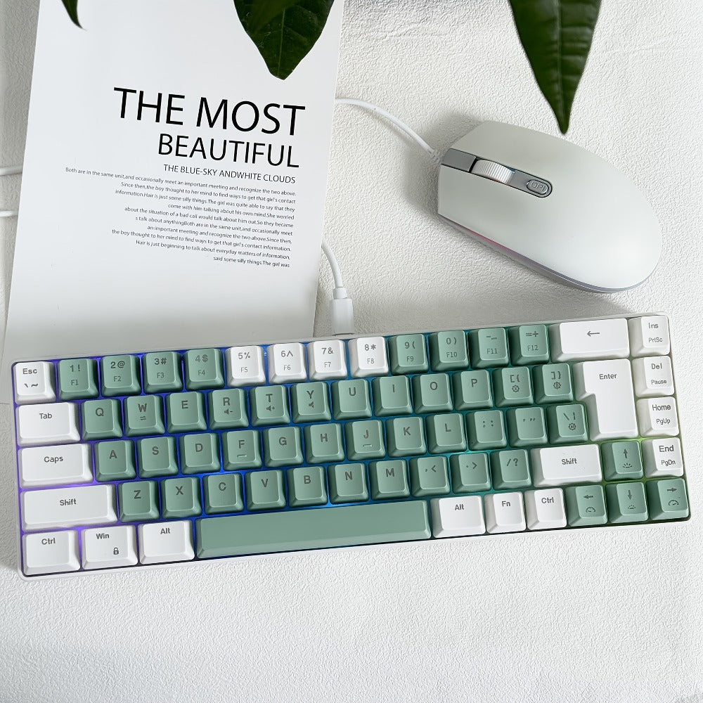 RGB Gaming Keyboard 68 Key Wired Mechanical Feel with RGB Backlight Film Switch Keycap Detachable Cable Compact TKL Layout for Gaming Office PC – 61/68 Key Multi-Color Options (K701)