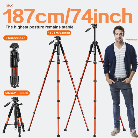 Camera Tripod, 74-Inch Stand with Quick Release Plate, Phone Holder & Carry Bag