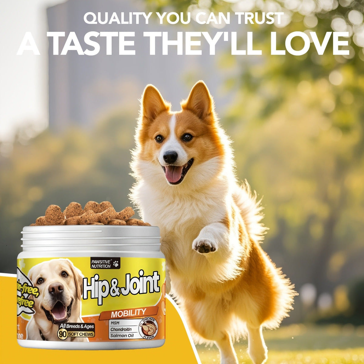 Hip & Joint Supplement for Dogs with Glucosamine & Chondroitin - MSM, Alaskan Salmon Oil Soft Chews for Mobility & Flexibility, Advanced Joint Care for All Breeds, Chicken Flavor, 90 Count