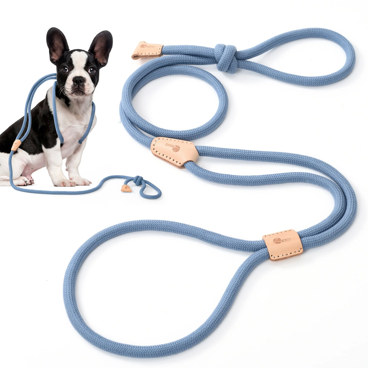 Dog Slip Leash and Harness 2-in-1 Rope Lead - No Pull All-in-One Training Leash for Puppies & Small Dogs, Adjustable Slip Lead with Soft Rope, Secure Control for Walking & Training
