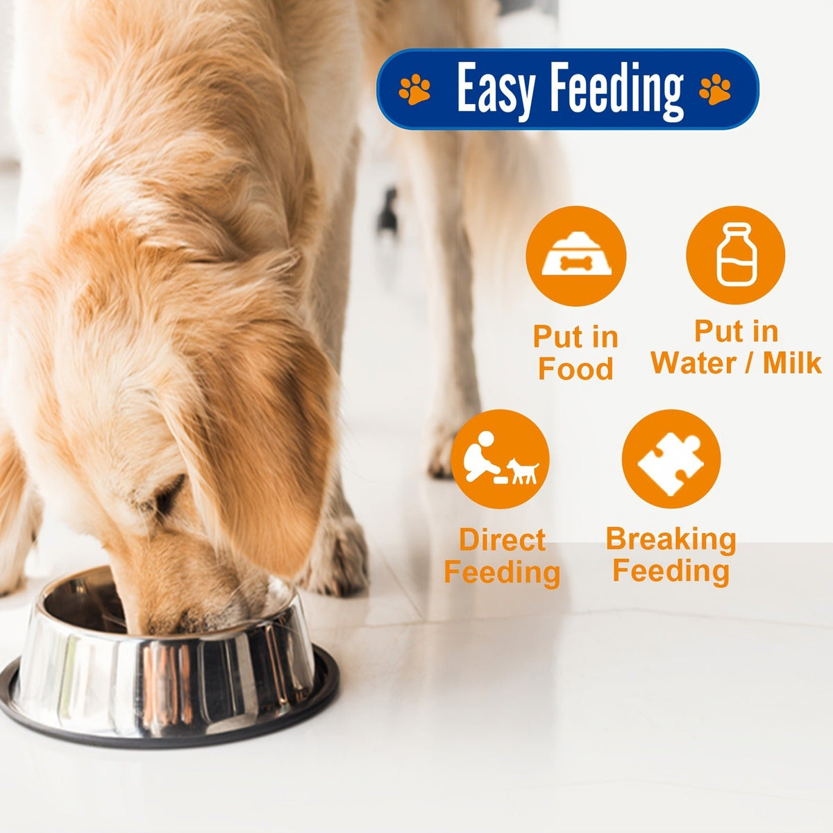 Dog Joint Supplement Chews, Chicken Flavor, 120 Count