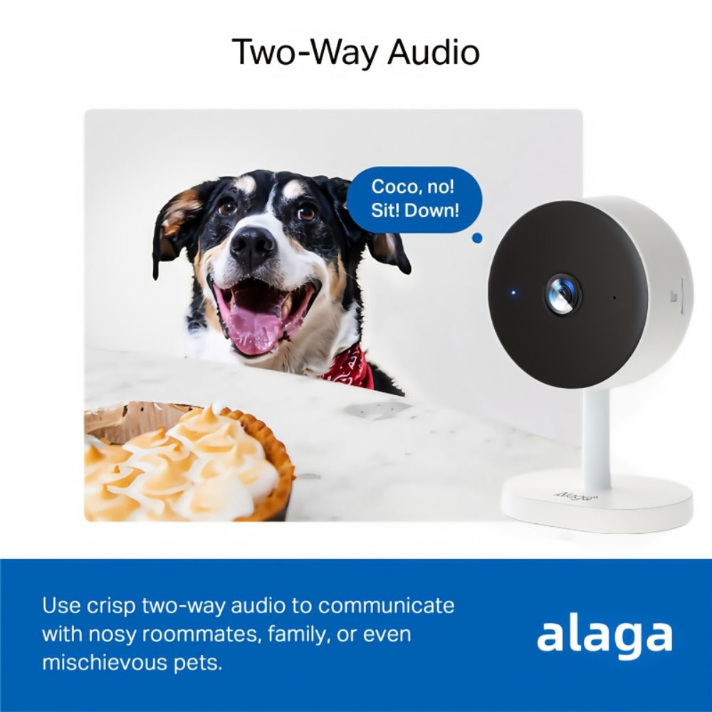 2K 3MP Card-Style WiFi Security Camera Indoor 5G & 2.4G Dual Band Night Vision Motion Detection Two-Way Audio Alexa Google Home Compatible Cloud & SD Card Storage CW1303
